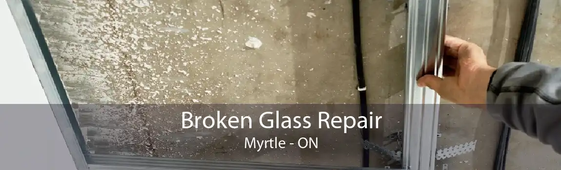Broken Glass Repair Myrtle - ON
