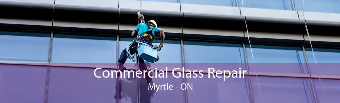 Commercial Glass Repair Myrtle - ON