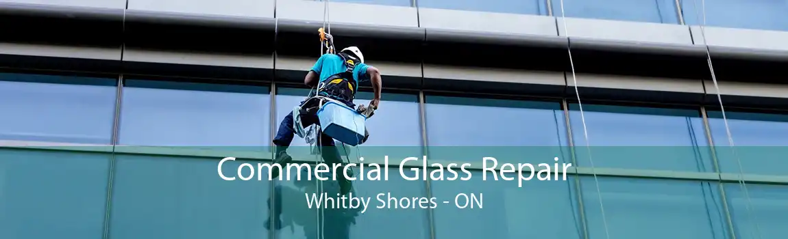 Commercial Glass Repair Whitby Shores - ON