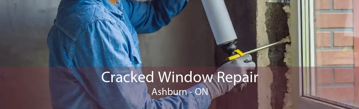 Cracked Window Repair Ashburn - ON