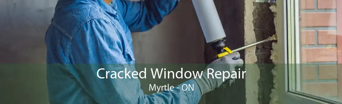 Cracked Window Repair Myrtle - ON