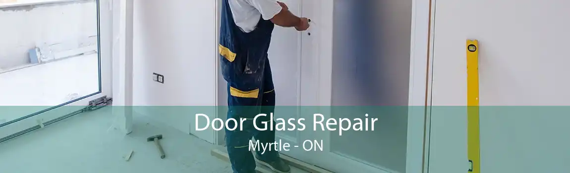 Door Glass Repair Myrtle - ON