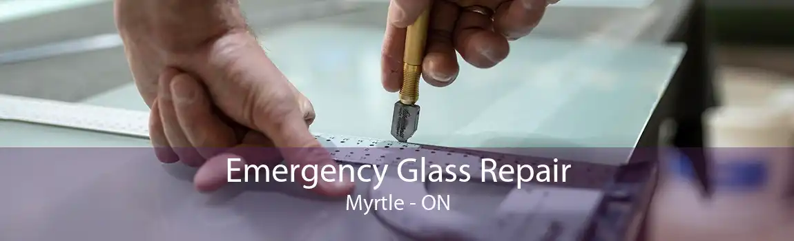 Emergency Glass Repair Myrtle - ON