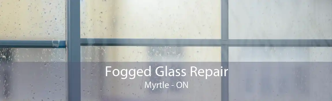 Fogged Glass Repair Myrtle - ON
