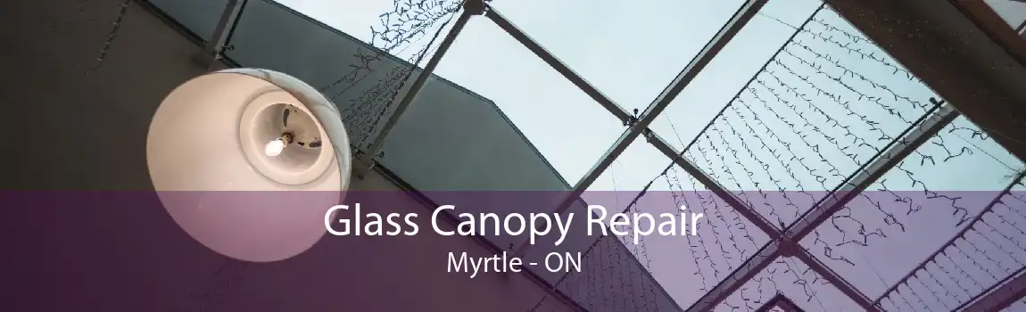 Glass Canopy Repair Myrtle - ON