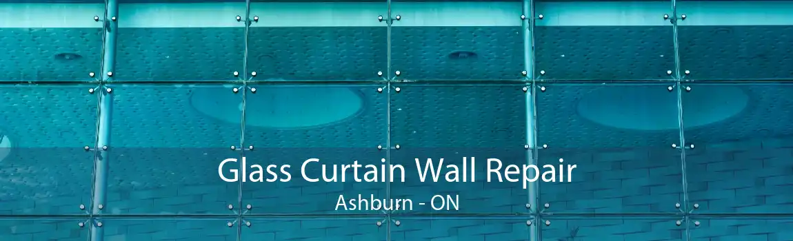 Glass Curtain Wall Repair Ashburn - ON