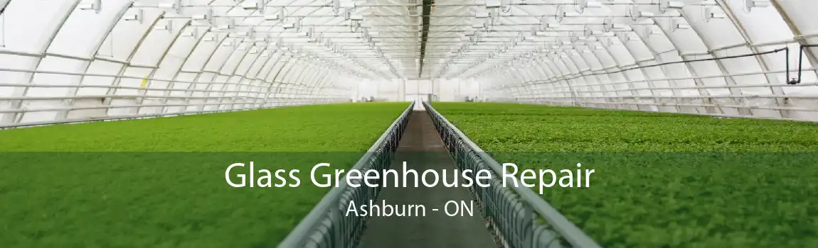 Glass Greenhouse Repair Ashburn - ON