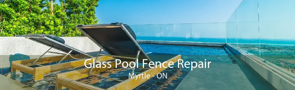 Glass Pool Fence Repair Myrtle - ON