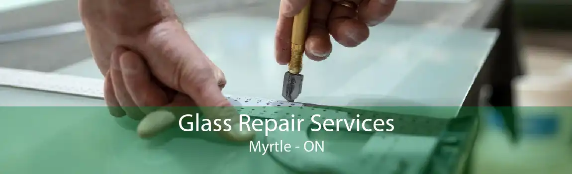 Glass Repair Services Myrtle - ON