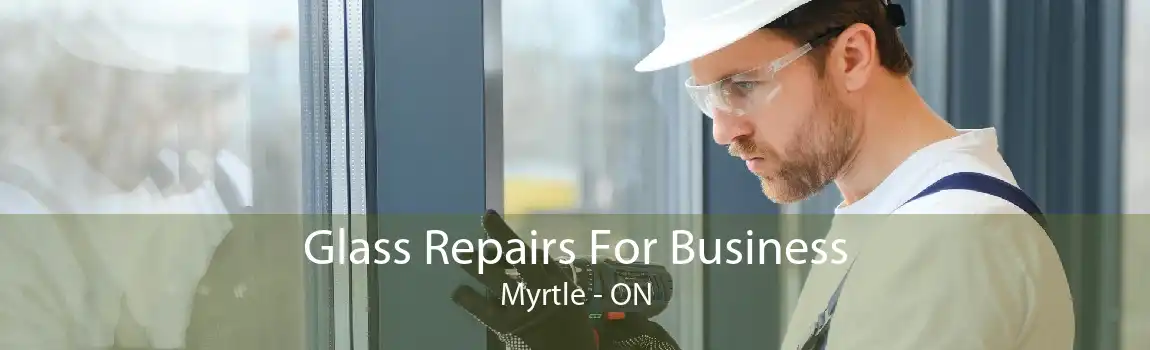 Glass Repairs For Business Myrtle - ON