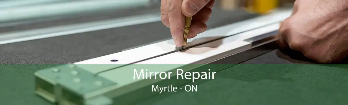 Mirror Repair Myrtle - ON