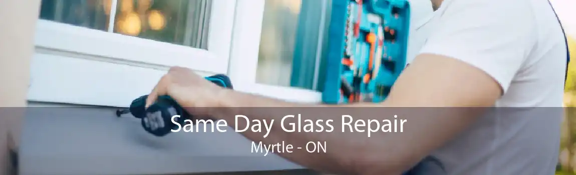 Same Day Glass Repair Myrtle - ON