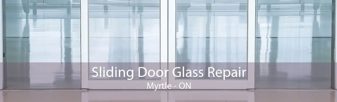 Sliding Door Glass Repair Myrtle - ON