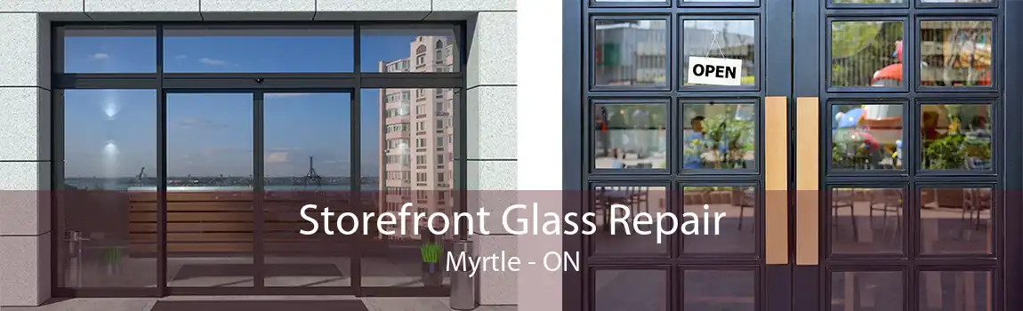 Storefront Glass Repair Myrtle - ON