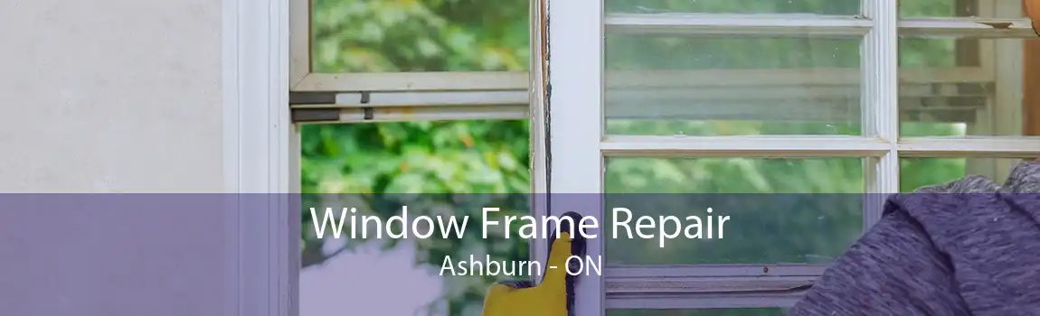 Window Frame Repair Ashburn - ON