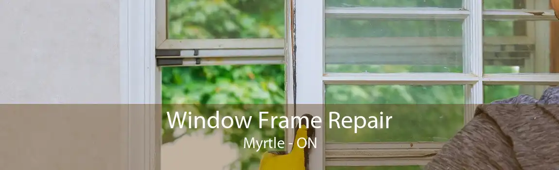 Window Frame Repair Myrtle - ON
