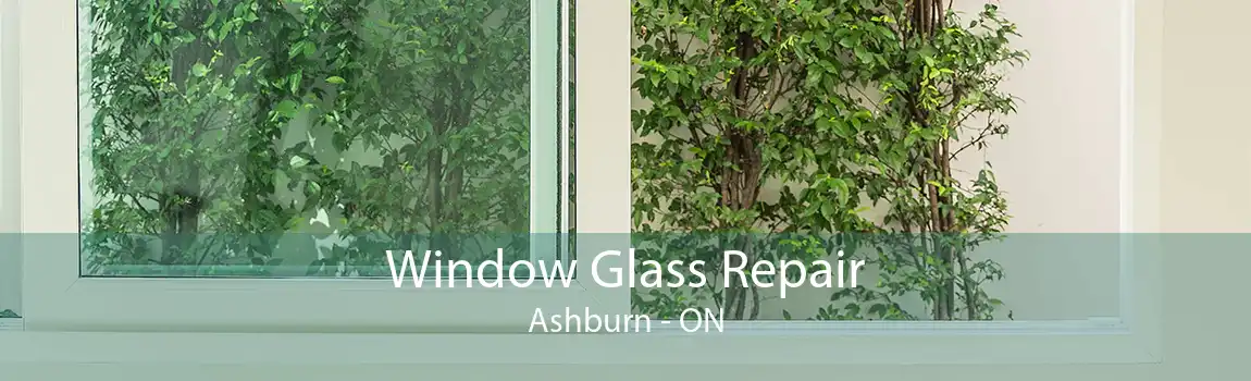 Window Glass Repair Ashburn - ON