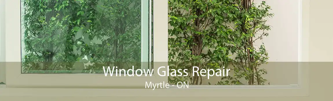 Window Glass Repair Myrtle - ON