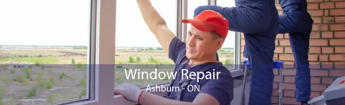 Window Repair Ashburn - ON