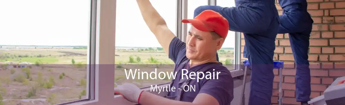 Window Repair Myrtle - ON