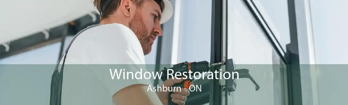 Window Restoration Ashburn - ON