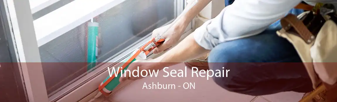 Window Seal Repair Ashburn - ON