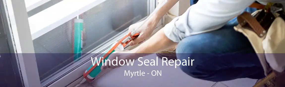 Window Seal Repair Myrtle - ON