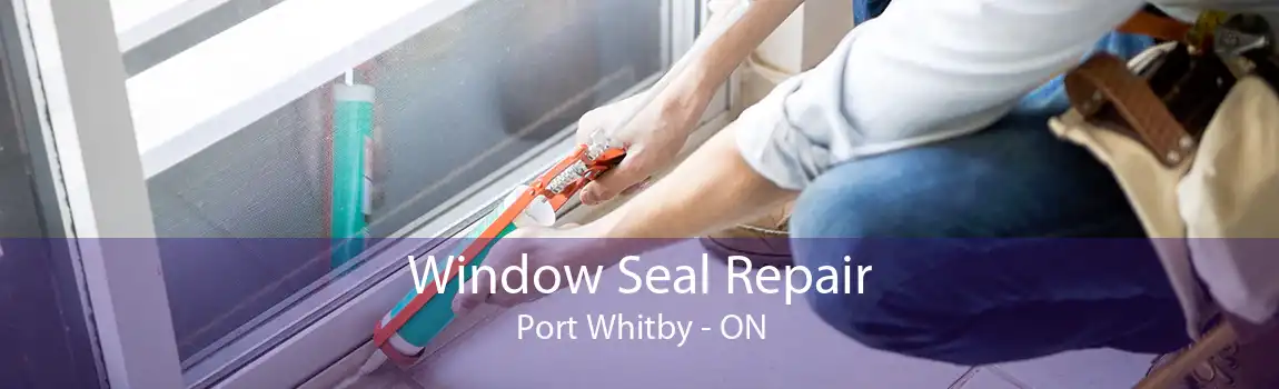 Window Seal Repair Port Whitby - ON